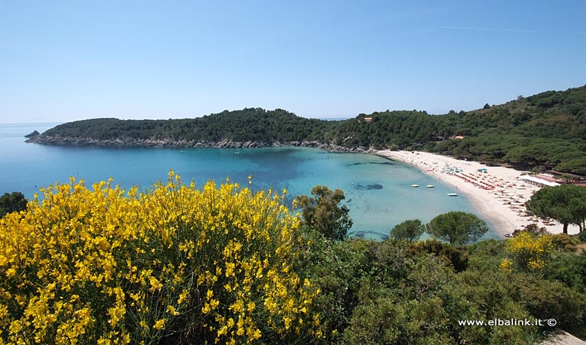 Spiaggia di Fetovaia - Isola d'Elba