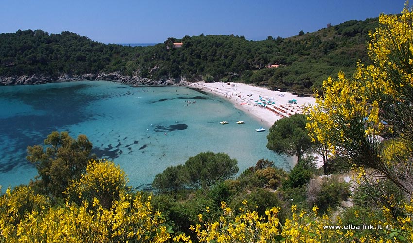 Spiaggia di Fetovaia - Isola d'Elba