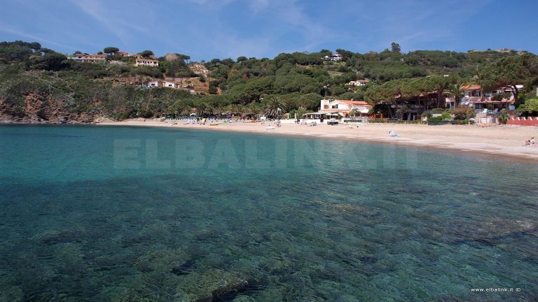 Morcone, Isola d'Elba