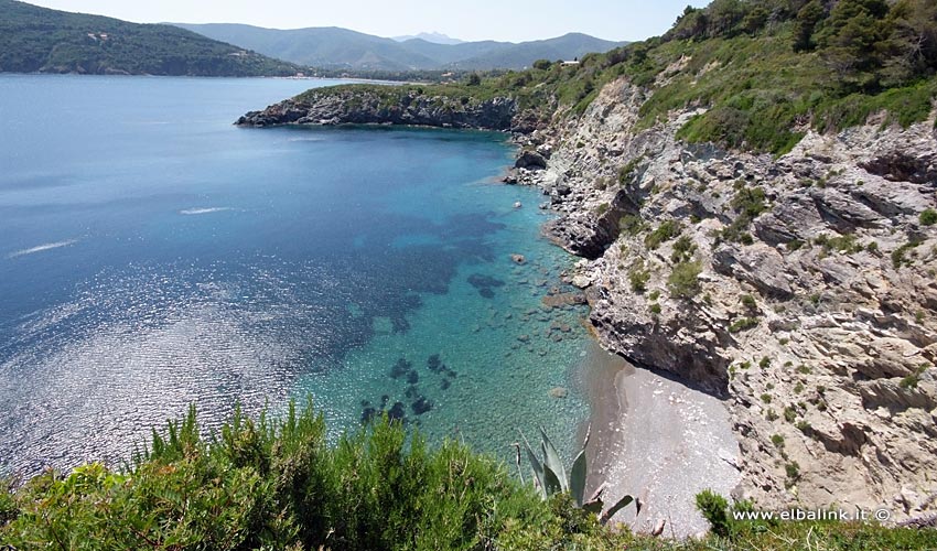 Spiaggia di Capo Pini - Isola d'Elba