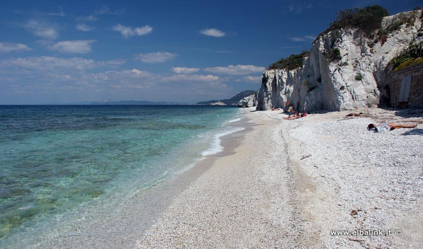 Spiaggia di Capo Bianco - Isola d'Elba