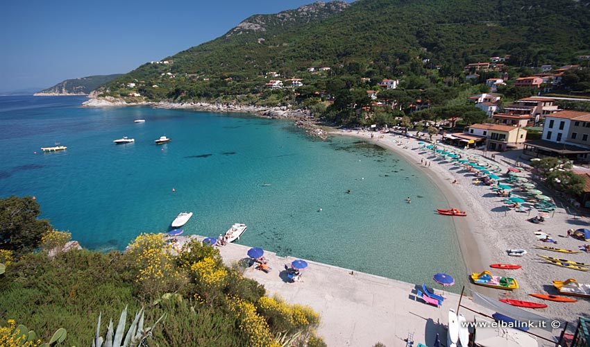 consultant Haiku fade Beach of Sant'Andrea - Marciana | Elba Island sandy beaches