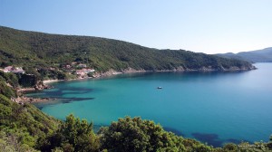 Spiaggia del Viticcio - Isola d'Elba