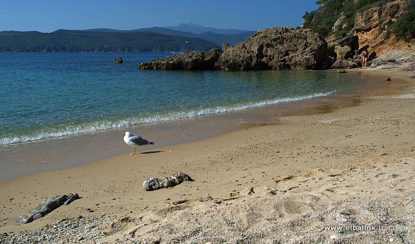 Spiaggia di Zuccale - Isola d'Elba