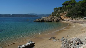 Spiaggia di Zuccale - Isola d'Elba