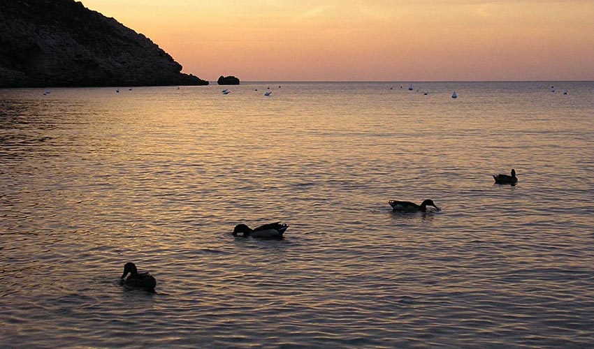 Appartamenti La Fonte, Elba