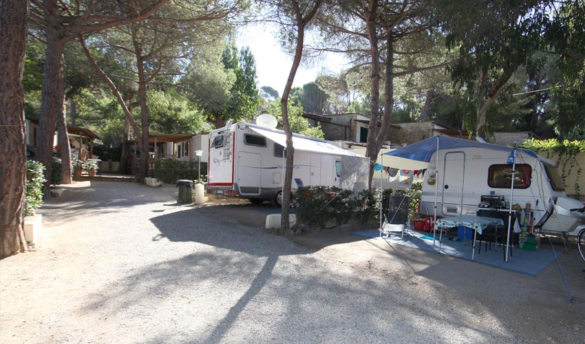 Camping La Foce, Elba