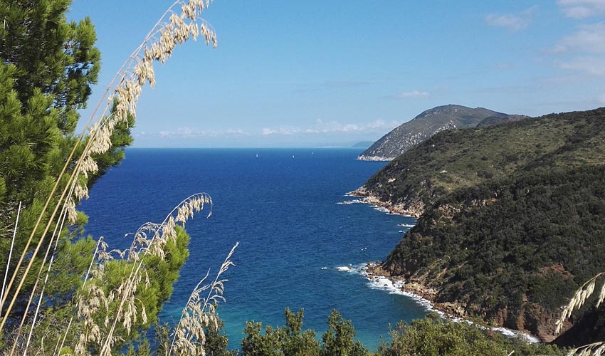 Il Gioiellino di Rio, Elba