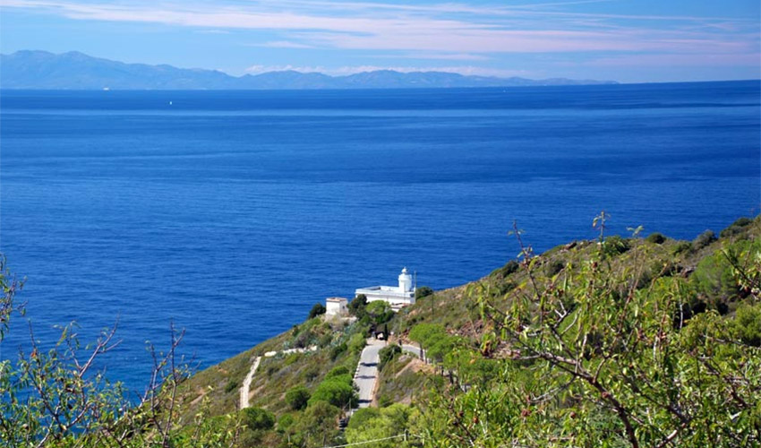 Hotel Belmare, Elba