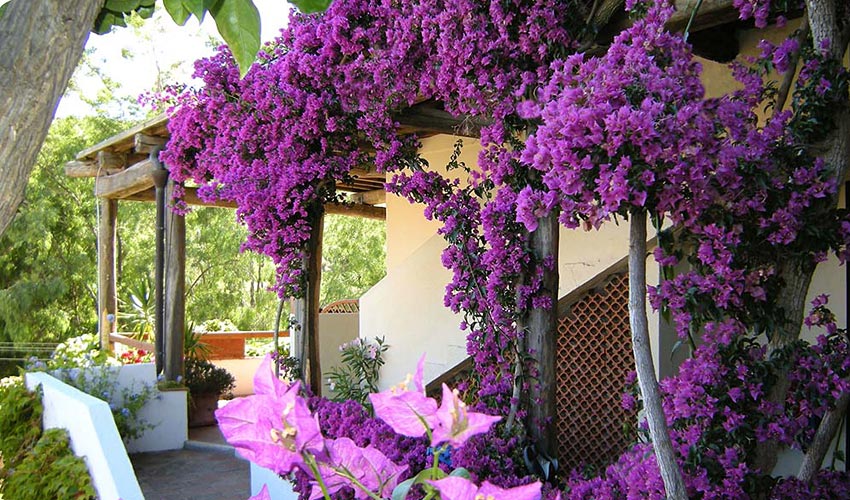 Hotel Galli, Elba