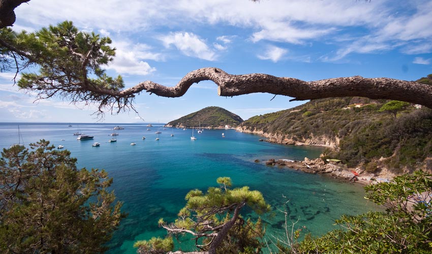 Golfo del Viticcio, Elba