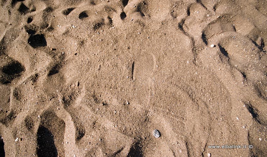 Spiaggia dell'Innamorata, Elba