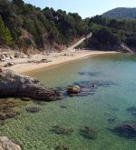 Spiaggia delle Calanchiole, Elba