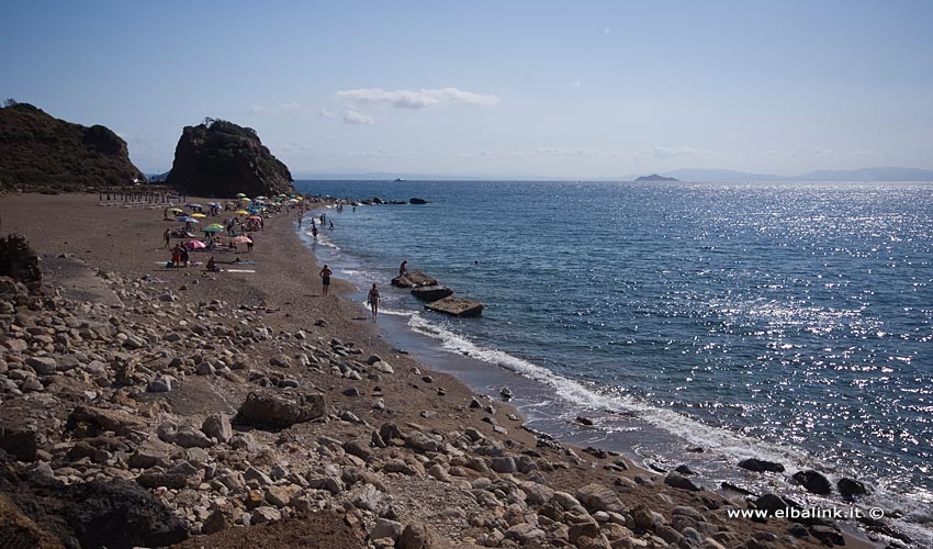 Spiaggia di Cala Seregola, Elba