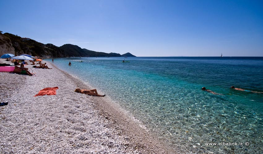 Spiaggia di Capo Bianco, Elba