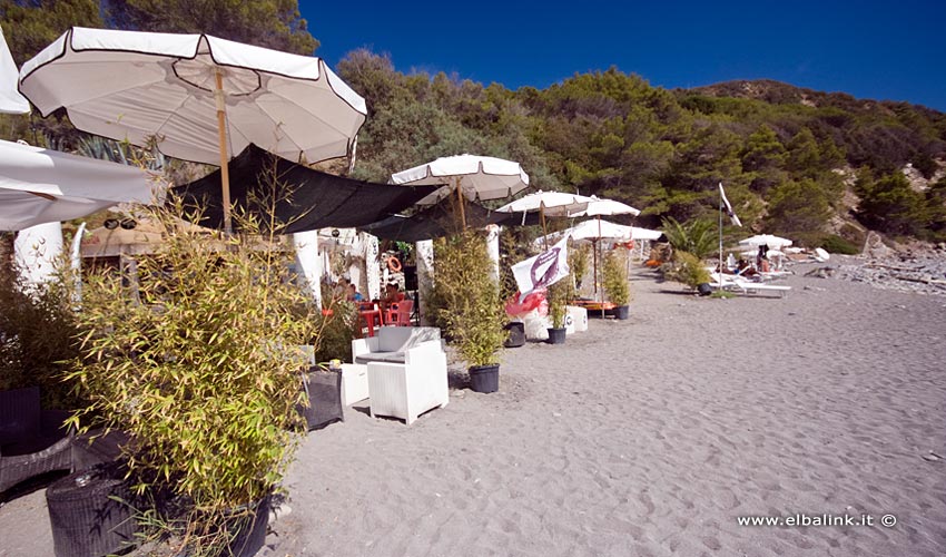 Spiaggia di Colle Palombaia, Elba