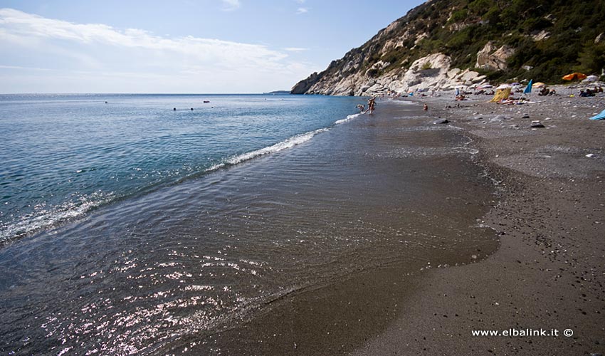 Spiaggia di Colle Palombaia, Elba