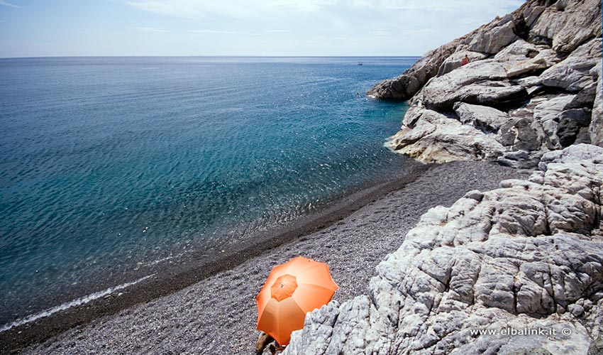 Spiaggia di Colle Palombaia, Elba