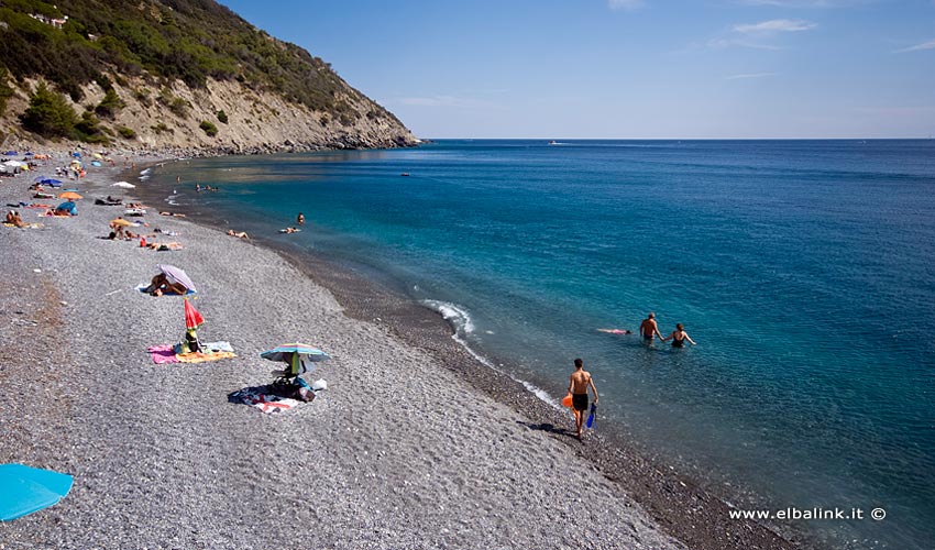 Spiaggia di Colle Palombaia, Elba