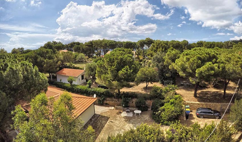 Villetta Verde, Elba