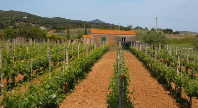 casa-marisa-06