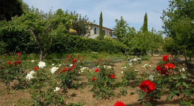 casa-marisa-07